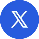 X Icon